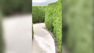 blonde is fucked in a maze