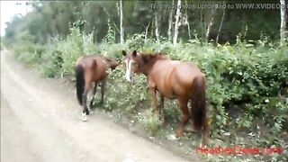 (Onlyfans.com/heatherdeep) HD peeing next to horse in jungle