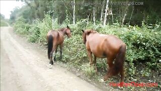 (Onlyfans.com/heatherdeep) HD peeing next to horse in jungle