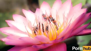 Public_2022/02/19 10:17