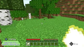 Minecraft chill! Check out my livestreams on twitch! No fucking, just gaming!