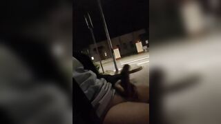 Flashing and Walking on the street with my dick out and cumming