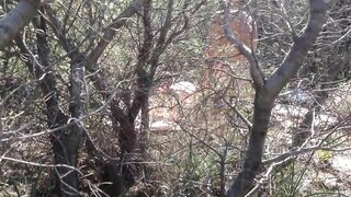 Greek Cuckold Slut Irina - Threesome In The Country