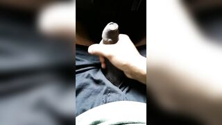 Male solo Stroking my big black cock