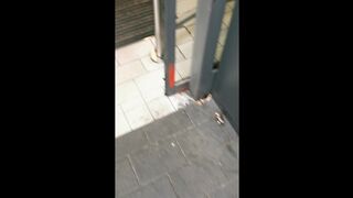 Public PISSING at the SUPERMARKET