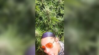 HoneyBunnz sucks dick in weed farm