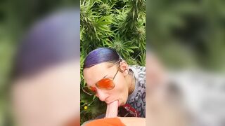 HoneyBunnz sucks dick in weed farm