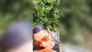 HoneyBunnz sucks dick in weed farm