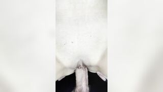 Made my wife squirt on my phone