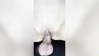 Made my wife squirt on my phone
