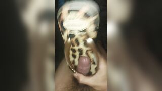 Cum In New Havaianas Animal Print 2023