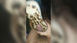 Cum In New Havaianas Animal Print 2023