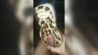 Cum In New Havaianas Animal Print 2023