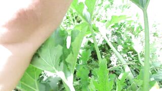 Good pissing in nature on a zucchini bush