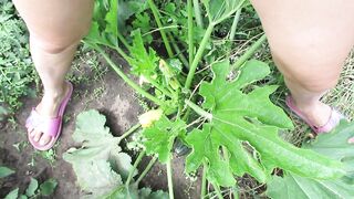 Good pissing in nature on a zucchini bush