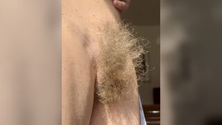 Hairy Sara's wild bush