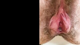 Hairy pussy bred by 3 bulls within 24 hours