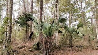 pissing in the forgotten forest