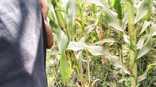 Big Cock Pissing in Corn Field