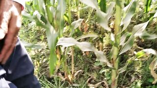 Big Cock Pissing in Corn Field