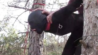 Tied up to a tree outdoor on sexy clothes and hard fucked